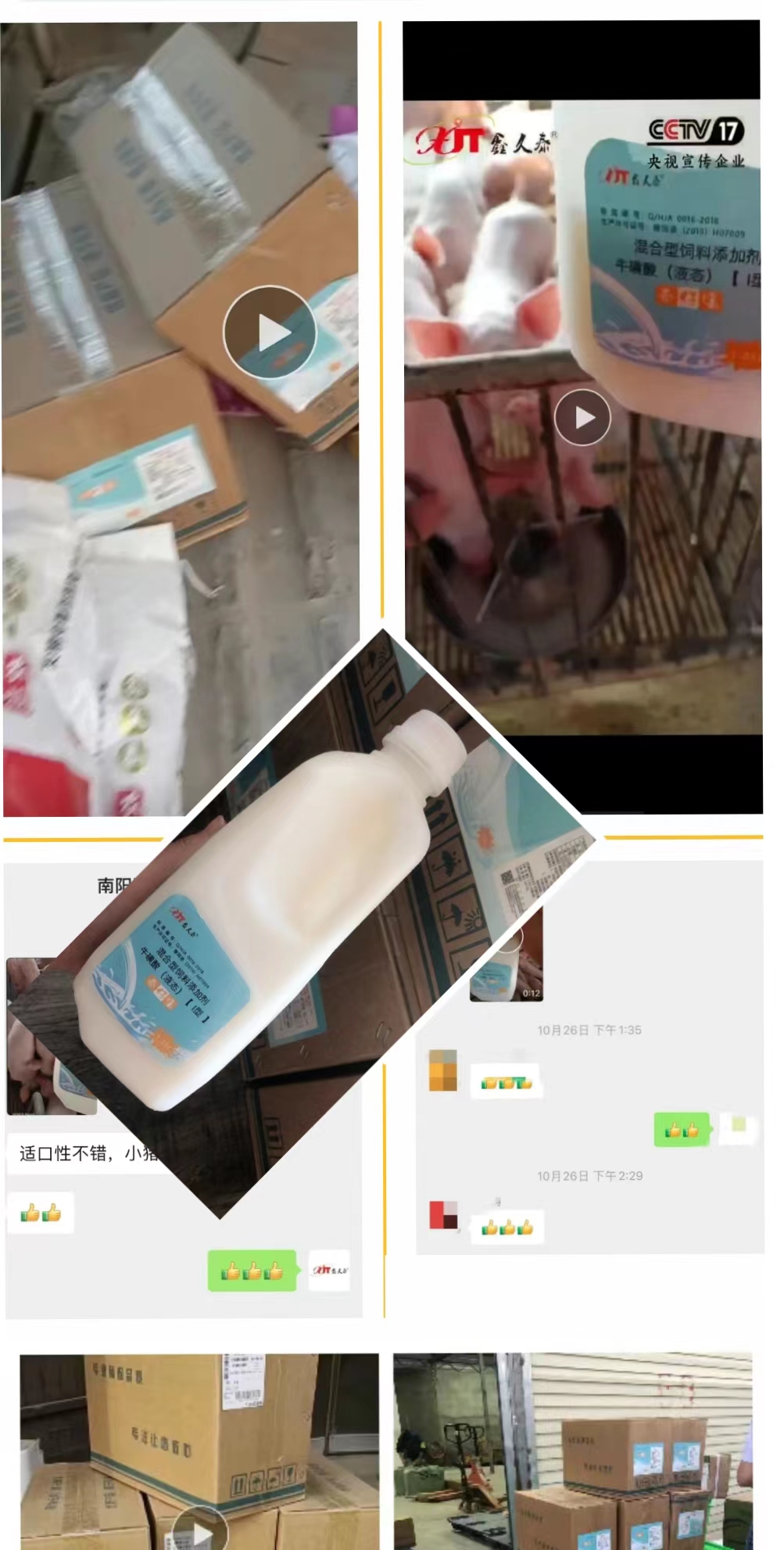 ͼ1.jpg