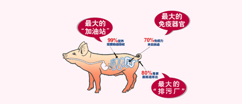 aede9839aa4e9d6489aff584fa73d358.jpg