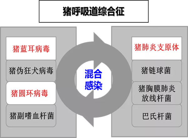 c5a37a80f7f016f841c17a135bfeb3e7.jpg