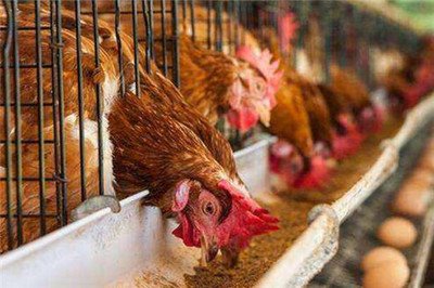 1763020952116951.jpg t012885468fd61d5f73.jpg