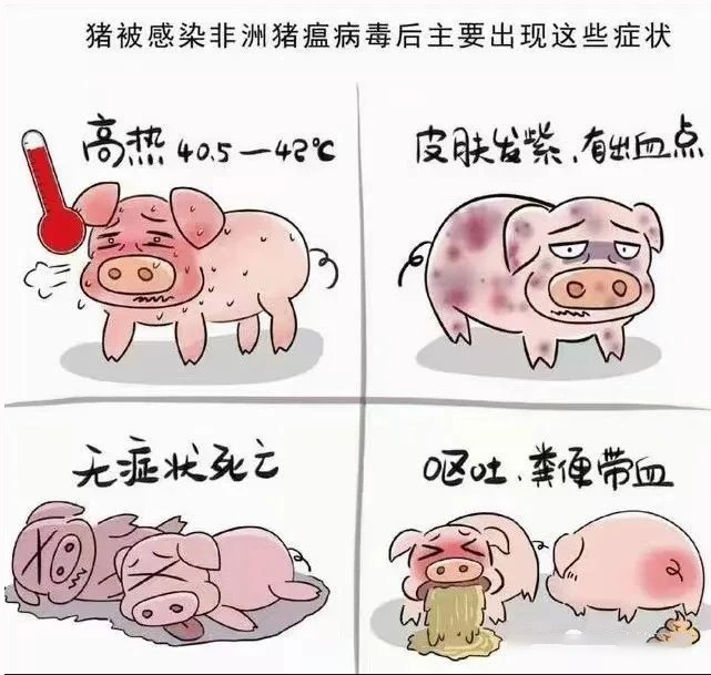 1763534812948893.jpg 1763534812948893.jpg