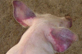 1764661039915587.png t013b64758dbadc8fe4.png