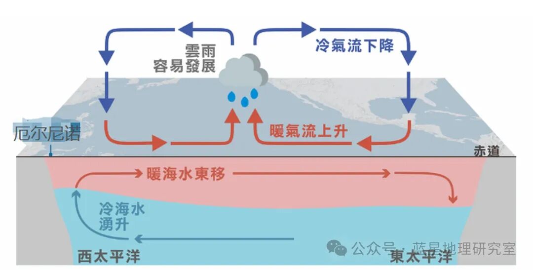 1773381728330871.jpg 1773381728330871.jpg